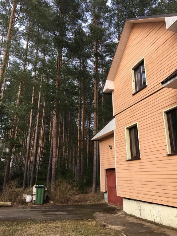 Дома для отпуска Лесной коттедж Svetofor в Narva-Jõesuu Нарва-Йыэсуу