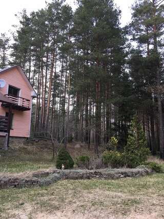 Дома для отпуска Лесной коттедж Svetofor в Narva-Jõesuu Нарва-Йыэсуу Дом с 3 спальнями-40