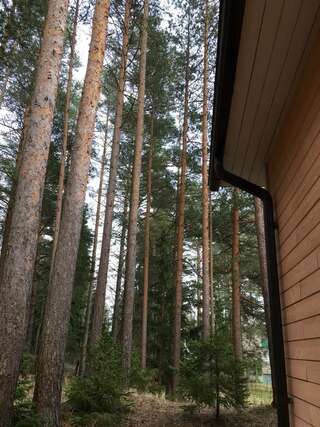 Дома для отпуска Лесной коттедж Svetofor в Narva-Jõesuu Нарва-Йыэсуу Дом с 3 спальнями-41