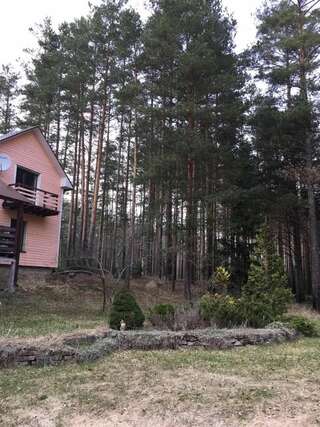 Дома для отпуска Лесной коттедж Svetofor в Narva-Jõesuu Нарва-Йыэсуу Дом с 3 спальнями-51