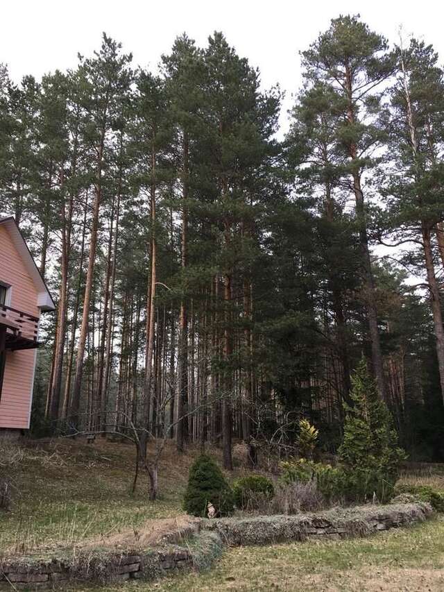Дома для отпуска Лесной коттедж Svetofor в Narva-Jõesuu Нарва-Йыэсуу-41